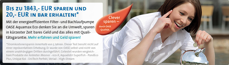 Clever Sparen